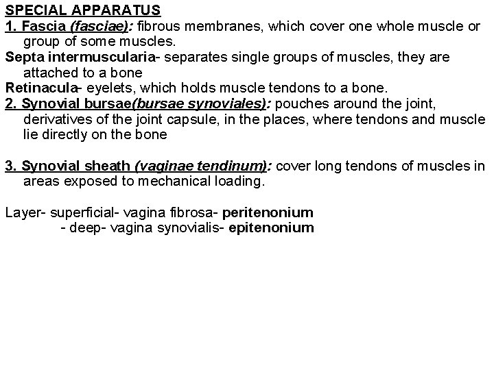 SPECIAL APPARATUS 1. Fascia (fasciae): fibrous membranes, which cover one whole muscle or group