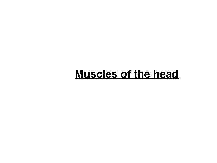 Muscles of the head 