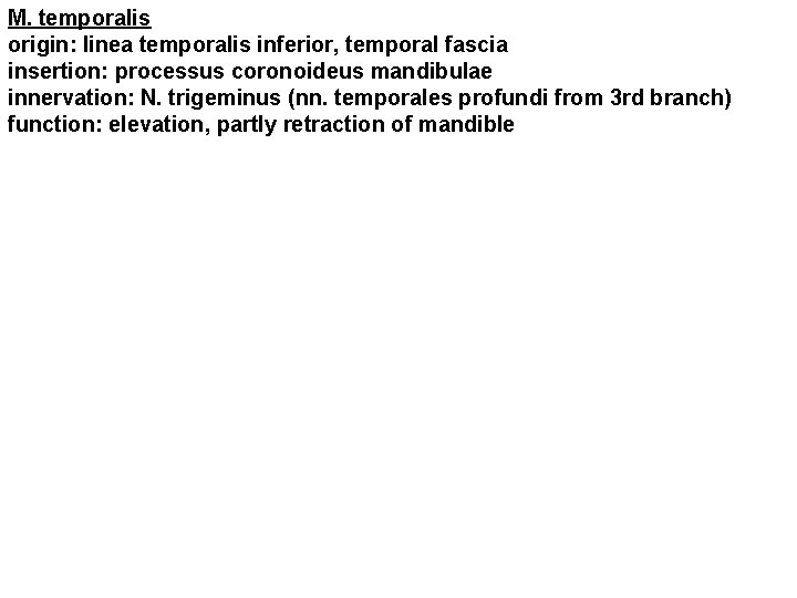 M. temporalis origin: linea temporalis inferior, temporal fascia insertion: processus coronoideus mandibulae innervation: N.