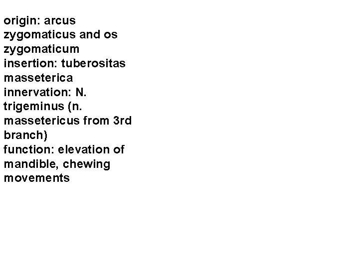 origin: arcus zygomaticus and os zygomaticum insertion: tuberositas masseterica innervation: N. trigeminus (n. massetericus