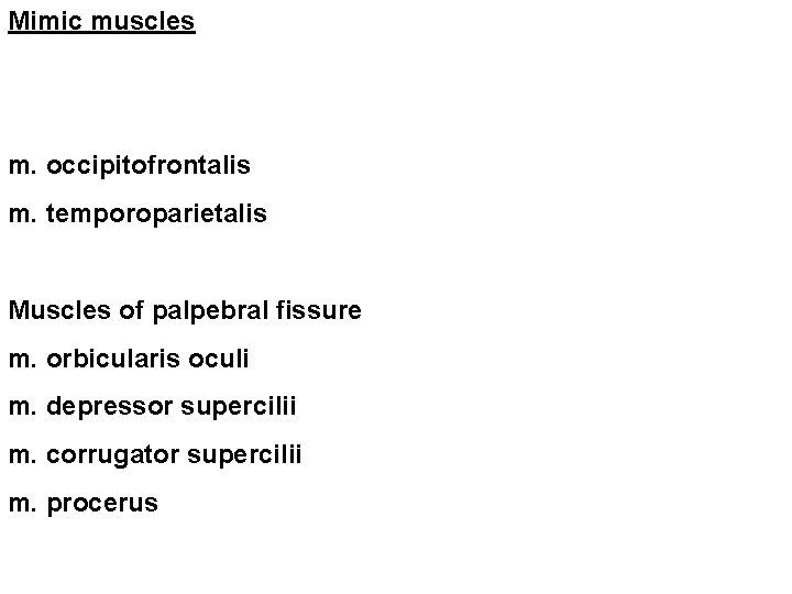 Mimic muscles m. occipitofrontalis m. temporoparietalis Muscles of palpebral fissure m. orbicularis oculi m.