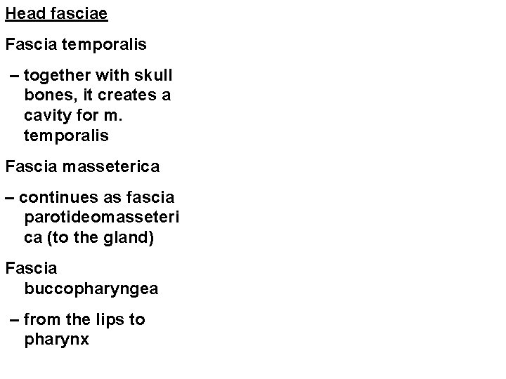 Head fasciae Fascia temporalis – together with skull bones, it creates a cavity for