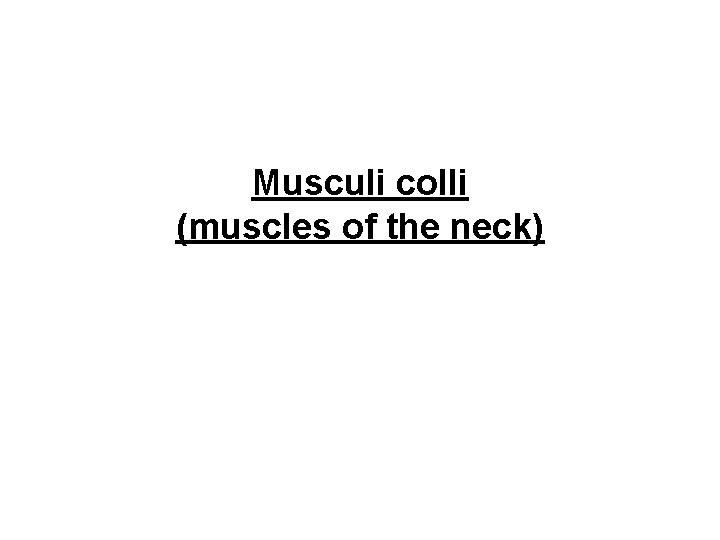 Musculi colli (muscles of the neck) 