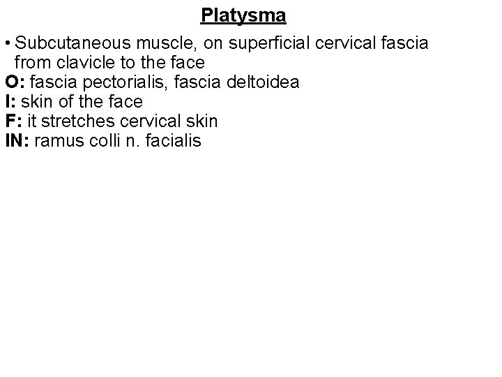 Platysma • Subcutaneous muscle, on superficial cervical fascia from clavicle to the face O: