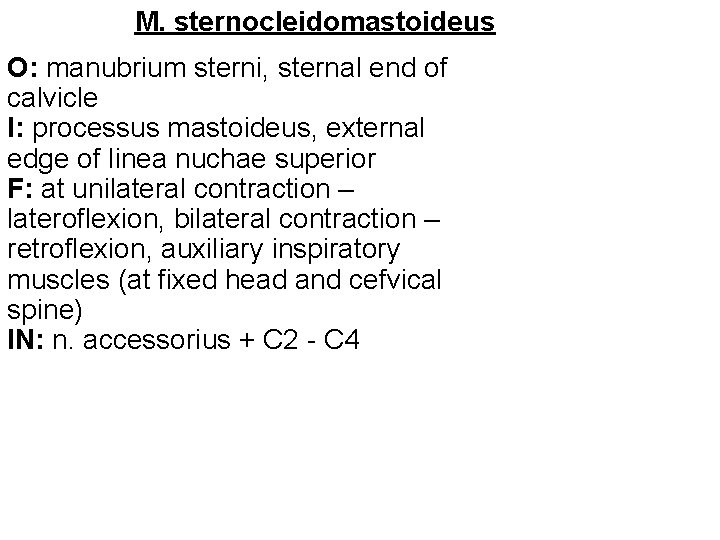 M. sternocleidomastoideus O: manubrium sterni, sternal end of calvicle I: processus mastoideus, external edge