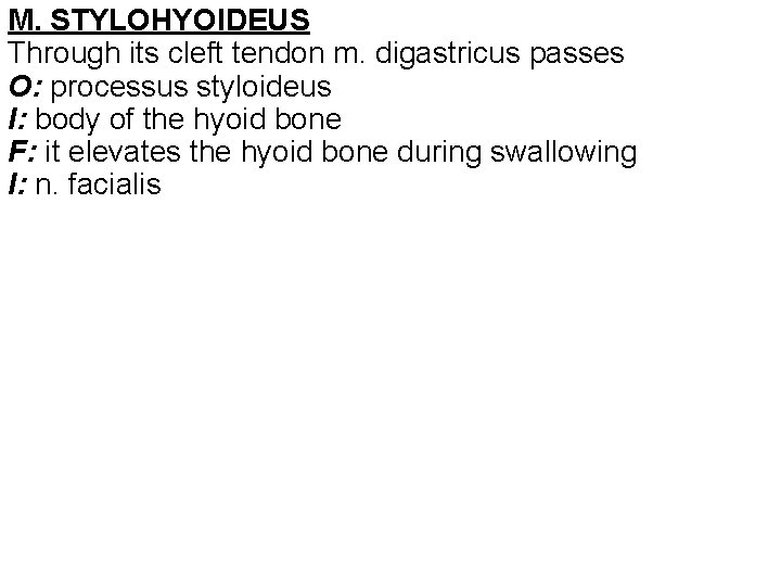 M. STYLOHYOIDEUS Through its cleft tendon m. digastricus passes O: processus styloideus I: body