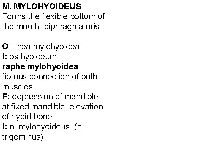 M. MYLOHYOIDEUS Forms the flexible bottom of the mouth- diphragma oris O: linea mylohyoidea