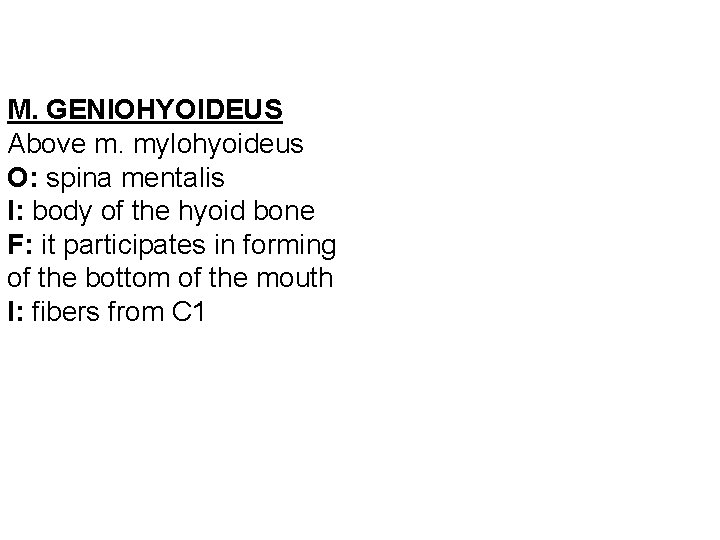 M. GENIOHYOIDEUS Above m. mylohyoideus O: spina mentalis I: body of the hyoid bone