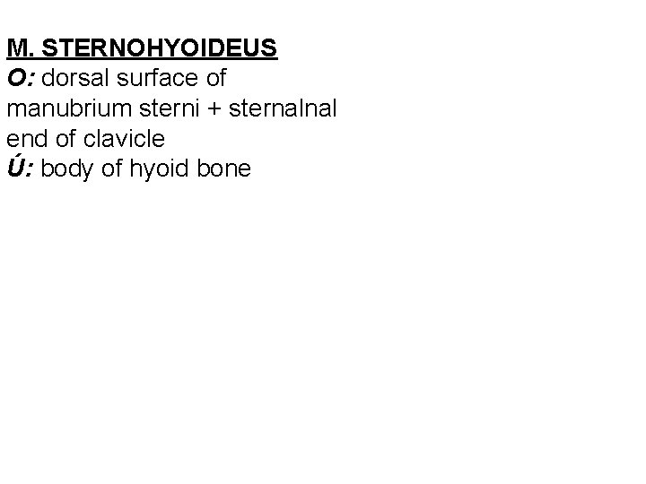 M. STERNOHYOIDEUS O: dorsal surface of manubrium sterni + sternalnal end of clavicle Ú: