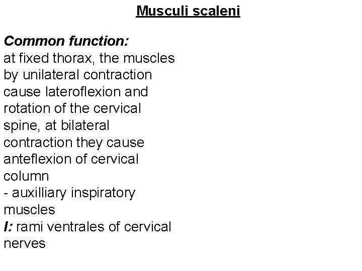 Musculi scaleni Common function: at fixed thorax, the muscles by unilateral contraction cause lateroflexion