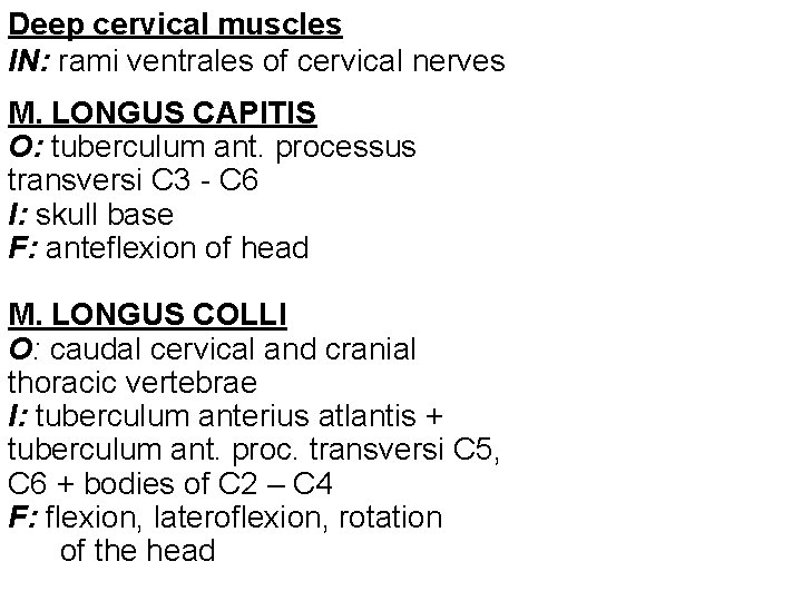 Deep cervical muscles IN: rami ventrales of cervical nerves M. LONGUS CAPITIS O: tuberculum
