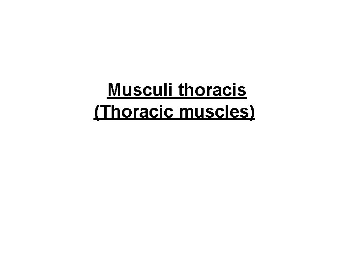 Musculi thoracis (Thoracic muscles) 