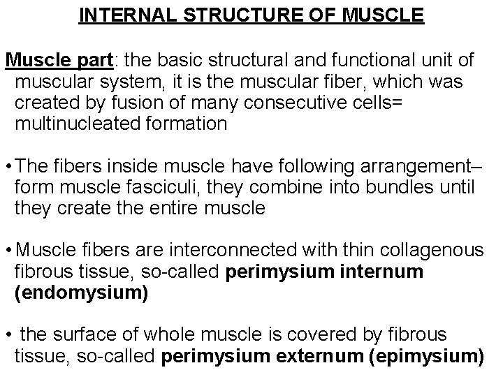 INTERNAL STRUCTURE OF MUSCLE Muscle part: the basic structural and functional unit of muscular