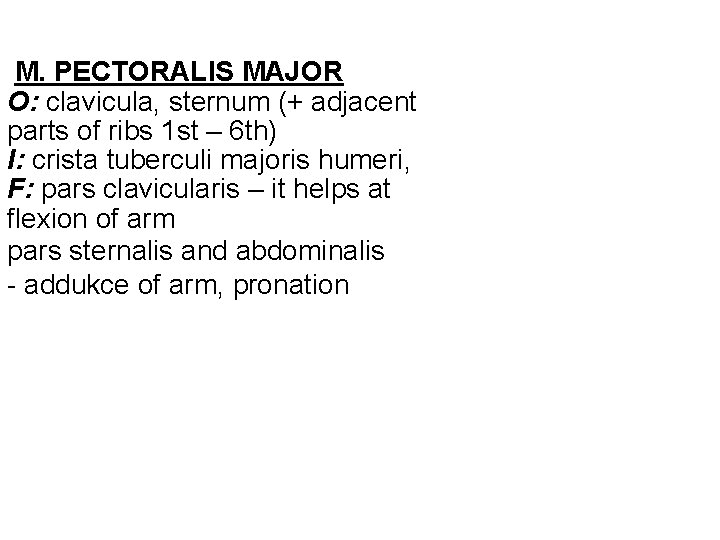 M. PECTORALIS MAJOR O: clavicula, sternum (+ adjacent parts of ribs 1 st –