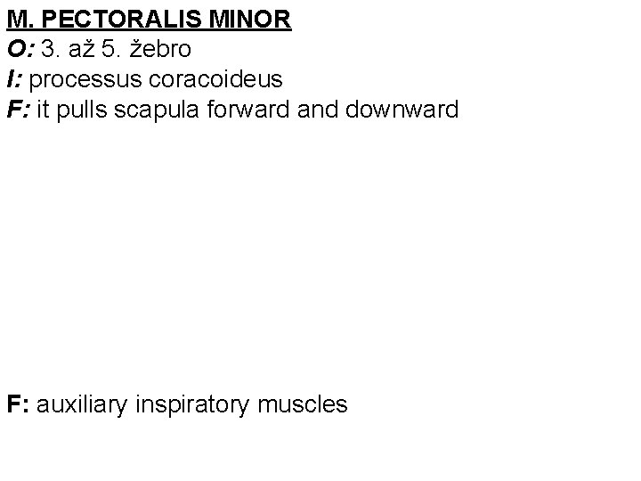 M. PECTORALIS MINOR O: 3. až 5. žebro I: processus coracoideus F: it pulls