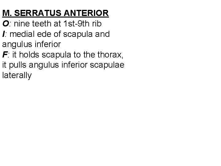 M. SERRATUS ANTERIOR O: nine teeth at 1 st-9 th rib I: medial ede