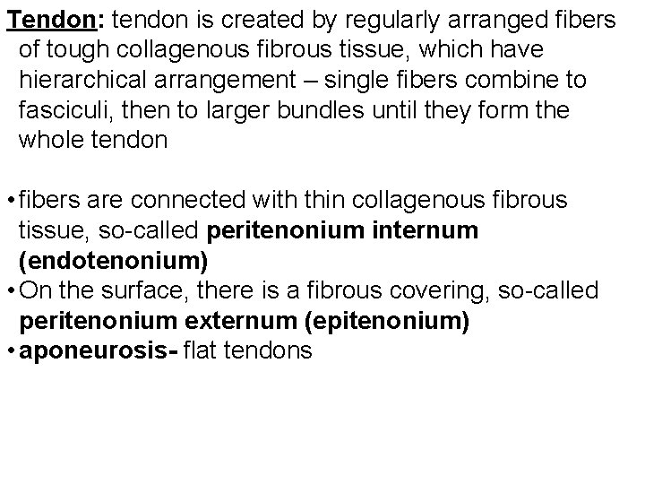 Tendon: tendon is created by regularly arranged fibers of tough collagenous fibrous tissue, which