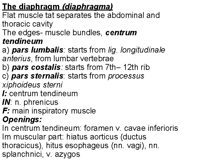 The diaphragm (diaphragma) Flat muscle tat separates the abdominal and thoracic cavity The edges-