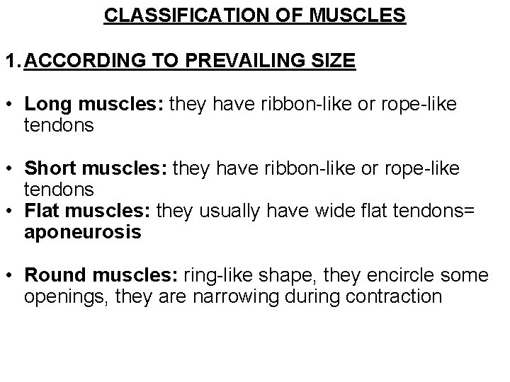 CLASSIFICATION OF MUSCLES 1. ACCORDING TO PREVAILING SIZE • Long muscles: they have ribbon-like