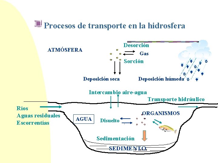 Procesos de transporte en la hidrosfera Desorción ATMÓSFERA Gas Sorción Deposición seca Deposición húmeda