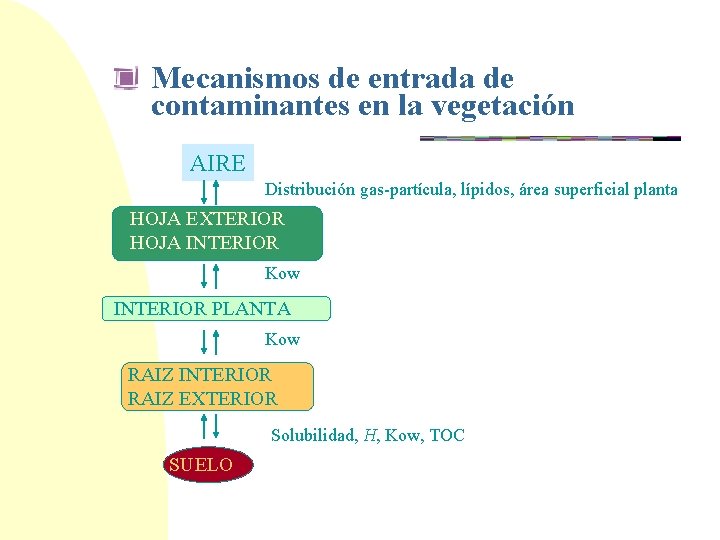 Mecanismos de entrada de contaminantes en la vegetación AIRE Distribución gas-partícula, lípidos, área superficial