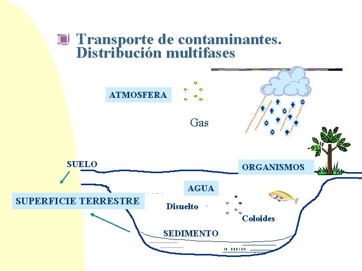 Transporte de contaminantes. Distribución multifases ATMOSFERA Gas SUELO ORGANISMOS AGUA SUPERFICIE TERRESTRE Disuelto Coloides
