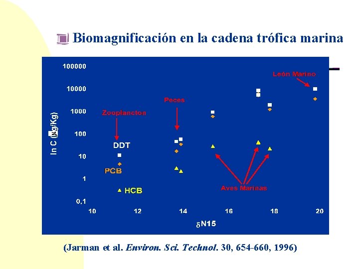 Biomagnificación en la cadena trófica marina (Jarman et al. Environ. Sci. Technol. 30, 654