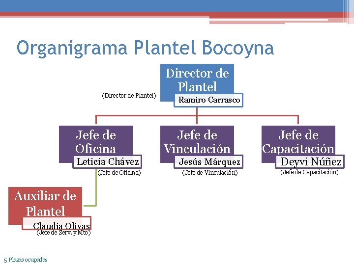 Organigrama Plantel Bocoyna (Director de Plantel) Jefe de Oficina Leticia Chávez (Jefe de Oficina)