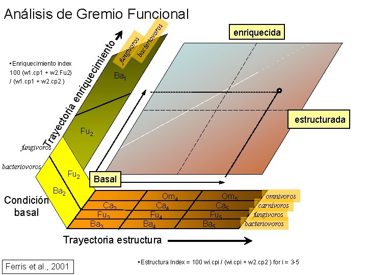 ec os ba cte rio vo r fun giv or enriquecida Ba 1 Tra