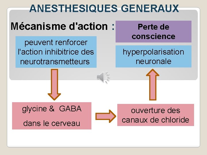 ANESTHESIQUES GENERAUX Mécanisme d'action : peuvent renforcer l'action inhibitrice des neurotransmetteurs glycine & GABA