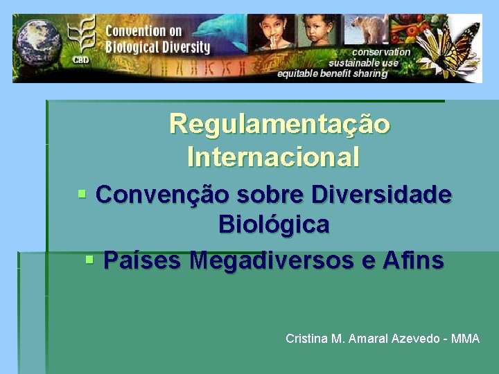 Regulamentação Internacional § Convenção sobre Diversidade Biológica § Países Megadiversos e Afins Cristina M.