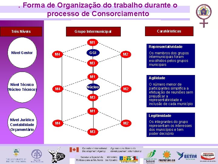 . Forma de Organização do trabalho durante o processo de Consorciamento Três Níveis Caratéristicas