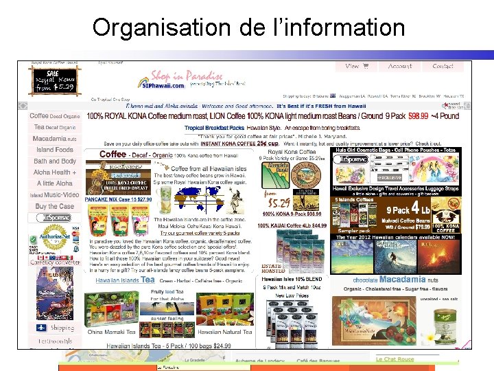 Organisation de l’information 