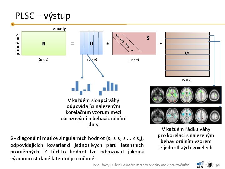 PLSC – výstup proměnné voxely R (p × v) = s 1 U *