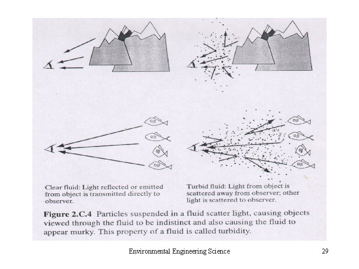 Environmental Engineering Science 29 