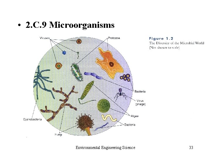  • 2. C. 9 Microorganisms Environmental Engineering Science 33 