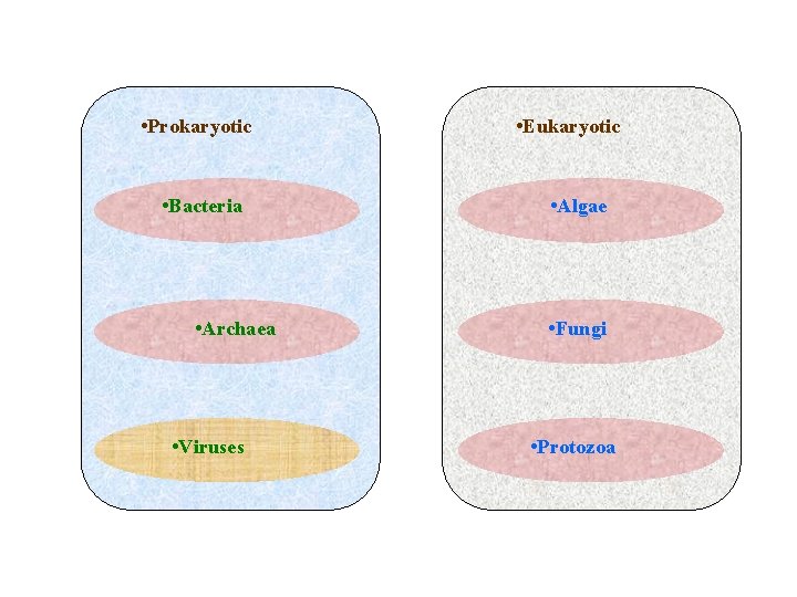  • Prokaryotic • Bacteria • Archaea • Viruses • Eukaryotic • Algae •