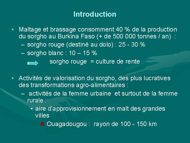 Introduction • Maltage et brassage consomment 40 % de la production du sorgho au