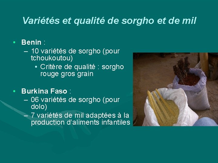 Variétés et qualité de sorgho et de mil • Benin : – 10 variétés