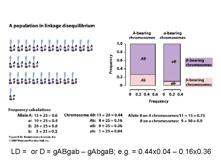 LD = or D = g. ABgab – g. Abga. B; e. g. =