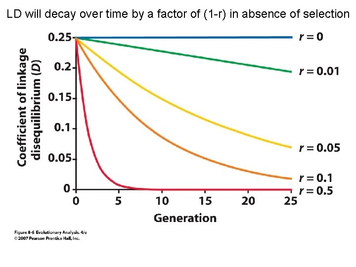 LD will decay over time by a factor of (1 -r) in absence of