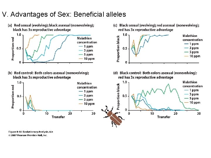 V. Advantages of Sex: Beneficial alleles 