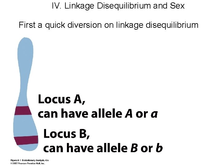 IV. Linkage Disequilibrium and Sex First a quick diversion on linkage disequilibrium 