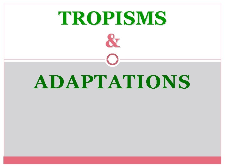 TROPISMS & ADAPTATIONS 
