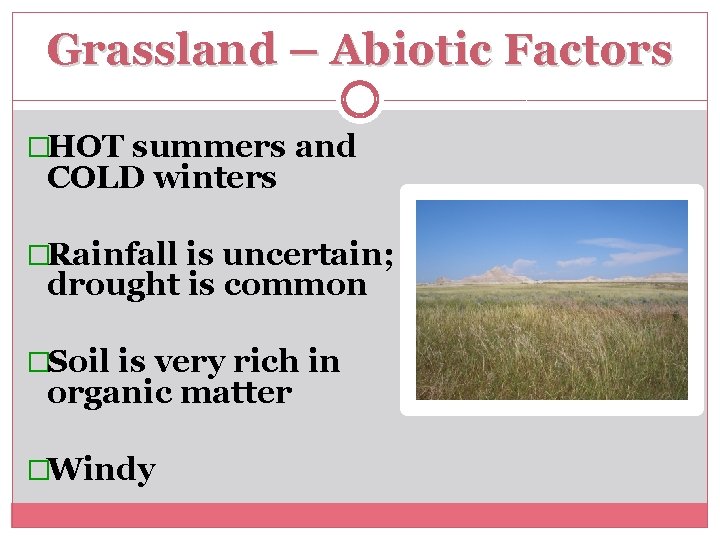 Grassland – Abiotic Factors �HOT summers and COLD winters �Rainfall is uncertain; drought is