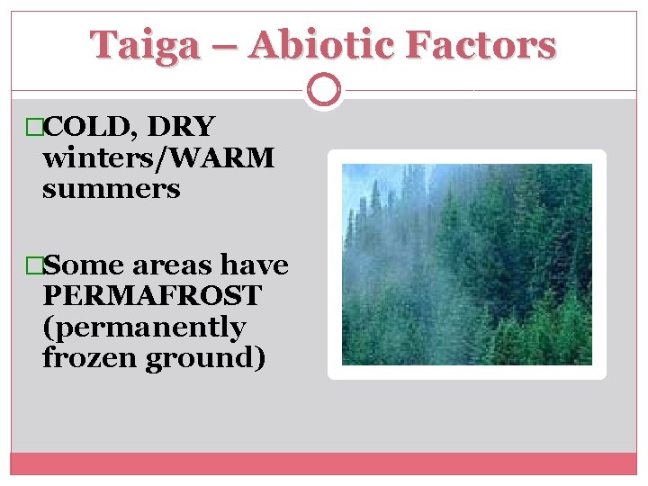 Taiga – Abiotic Factors �COLD, DRY winters/WARM summers �Some areas have PERMAFROST (permanently frozen