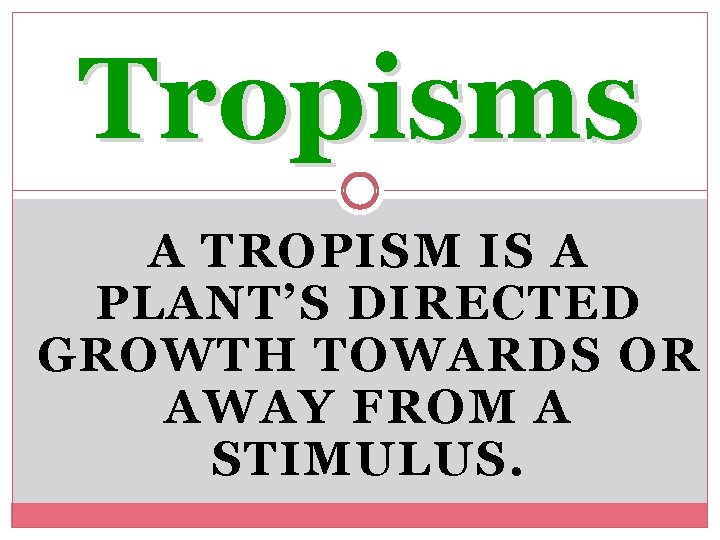 Tropisms A TROPISM IS A PLANT’S DIRECTED GROWTH TOWARDS OR AWAY FROM A STIMULUS.