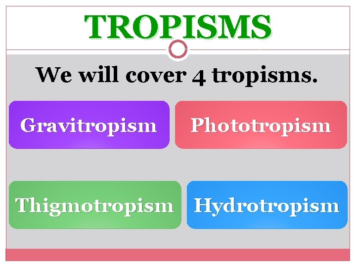 TROPISMS We will cover 4 tropisms. Gravitropism Phototropism Thigmotropism Hydrotropism 