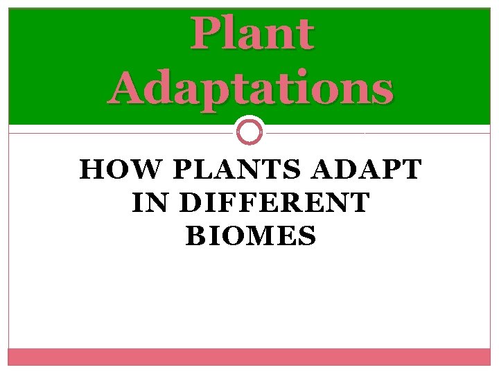 Plant Adaptations HOW PLANTS ADAPT IN DIFFERENT BIOMES 