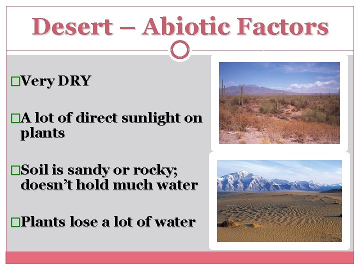 Desert – Abiotic Factors �Very DRY �A lot of direct sunlight on plants �Soil